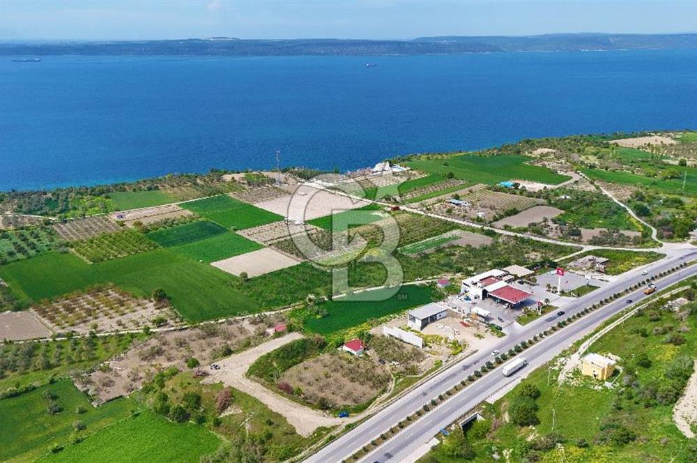 İntepe'de Yola 40m Cepheli, 5.483 m² Satılık Fırsat Tarla!
