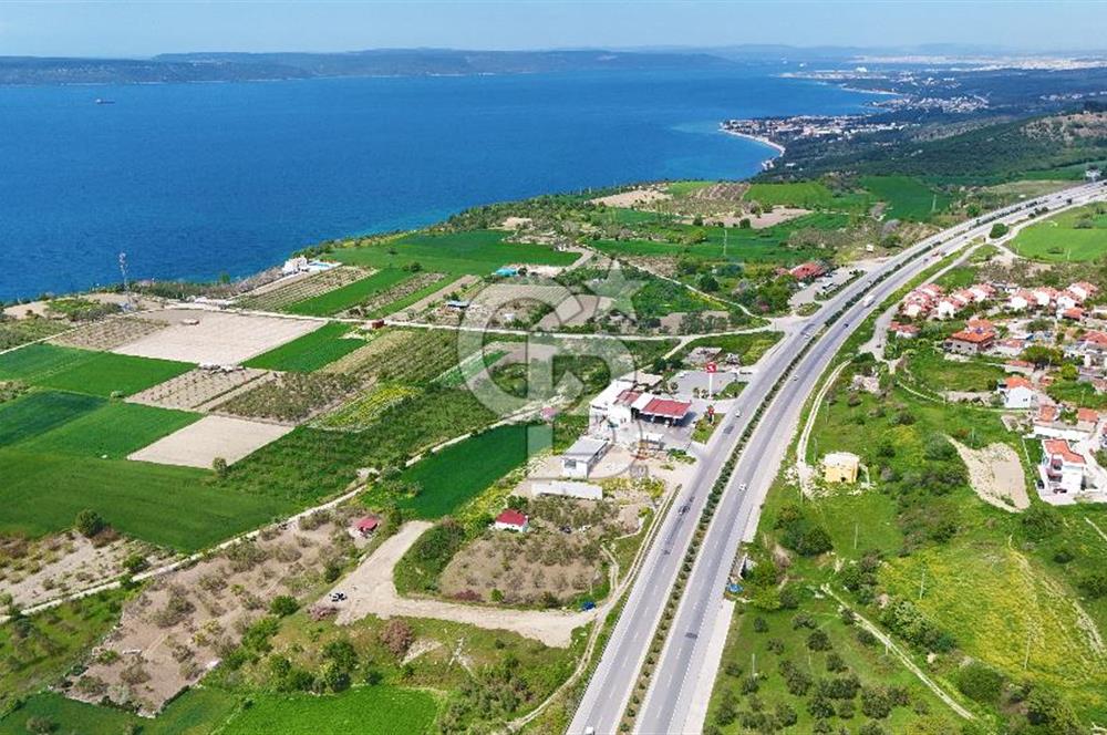 İntepe'de Yola 40m Cepheli, 5.483 m² Satılık Fırsat Tarla!