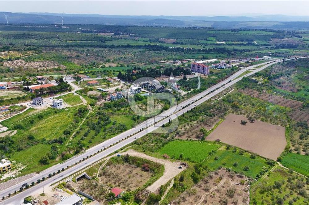 İntepe'de Yola 40m Cepheli, 5.483 m² Satılık Fırsat Tarla!