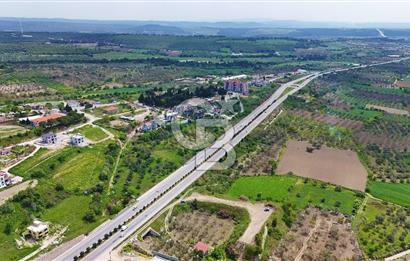 İntepe'de Yola 40m Cepheli, 5.483 m² Satılık Fırsat Tarla!