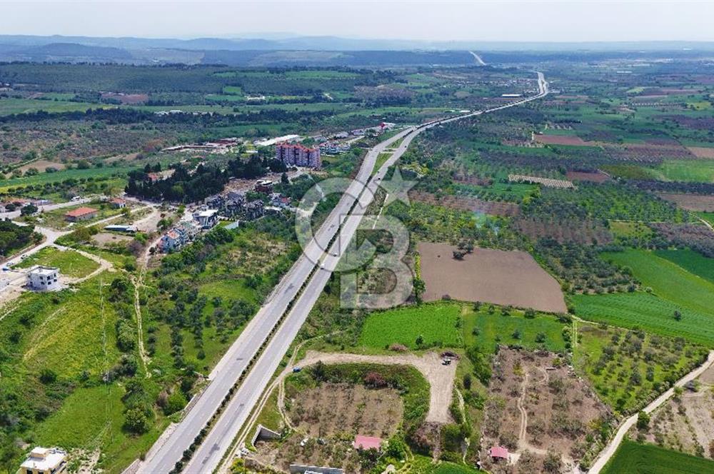 İntepe'de Yola 40m Cepheli, 5.483 m² Satılık Fırsat Tarla!