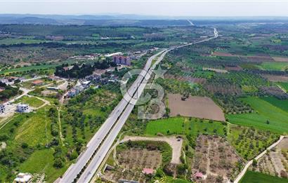 İntepe'de Yola 40m Cepheli, 5.483 m² Satılık Fırsat Tarla!
