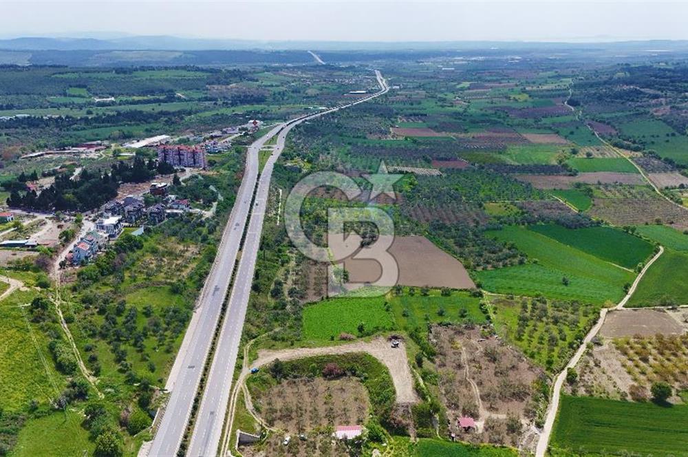 İntepe'de Yola 40m Cepheli, 5.483 m² Satılık Fırsat Tarla!