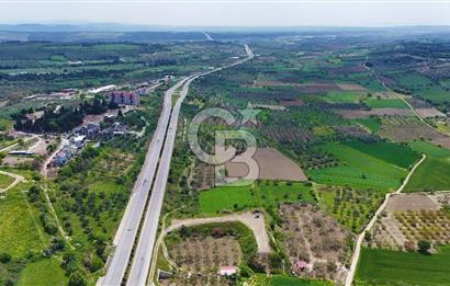 İntepe'de Yola 40m Cepheli, 5.483 m² Satılık Fırsat Tarla!