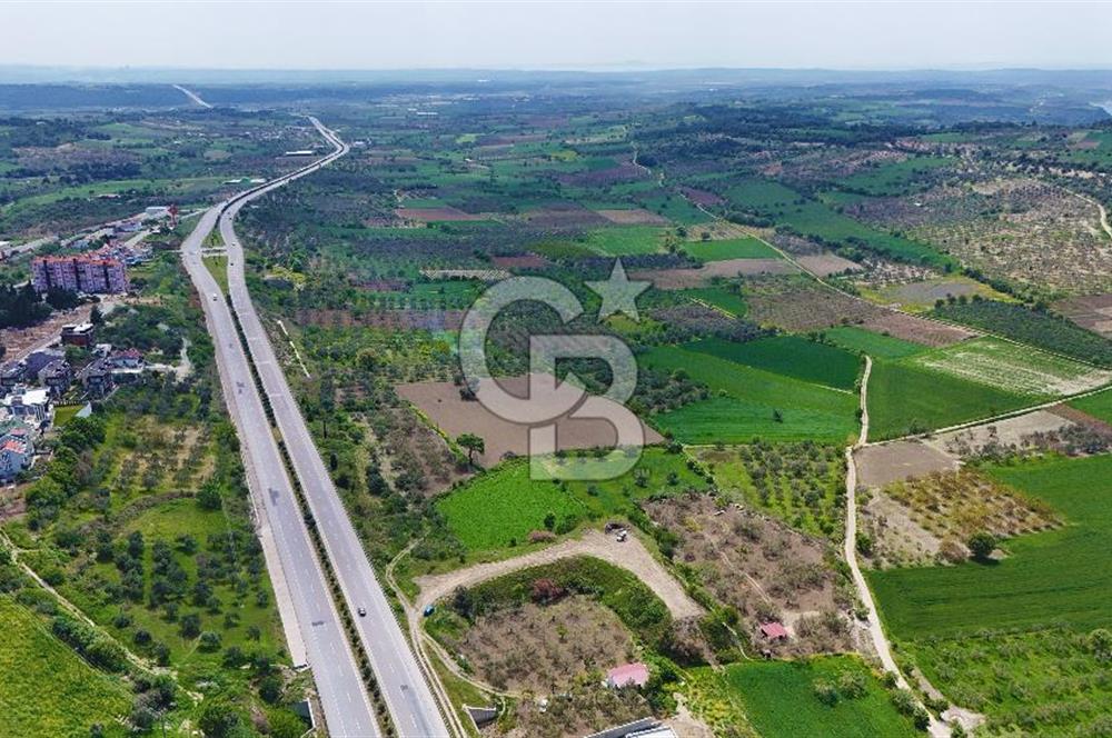 İntepe'de Yola 40m Cepheli, 5.483 m² Satılık Fırsat Tarla!