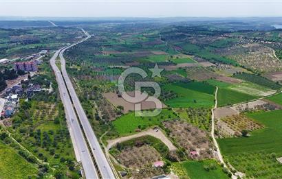 İntepe'de Yola 40m Cepheli, 5.483 m² Satılık Fırsat Tarla!