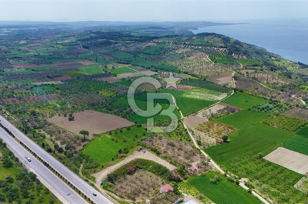 İntepe'de Yola 40m Cepheli, 5.483 m² Satılık Fırsat Tarla!
