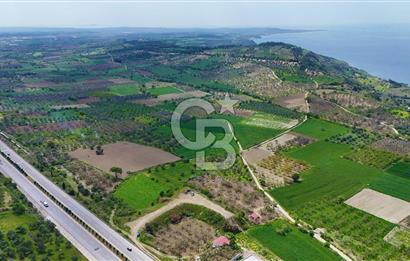 İntepe'de Yola 40m Cepheli, 5.483 m² Satılık Fırsat Tarla!