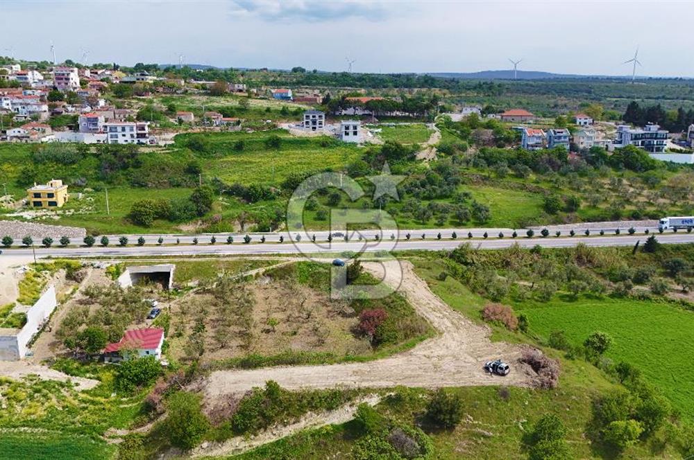 İntepe'de Yola 40m Cepheli, 5.483 m² Satılık Fırsat Tarla!