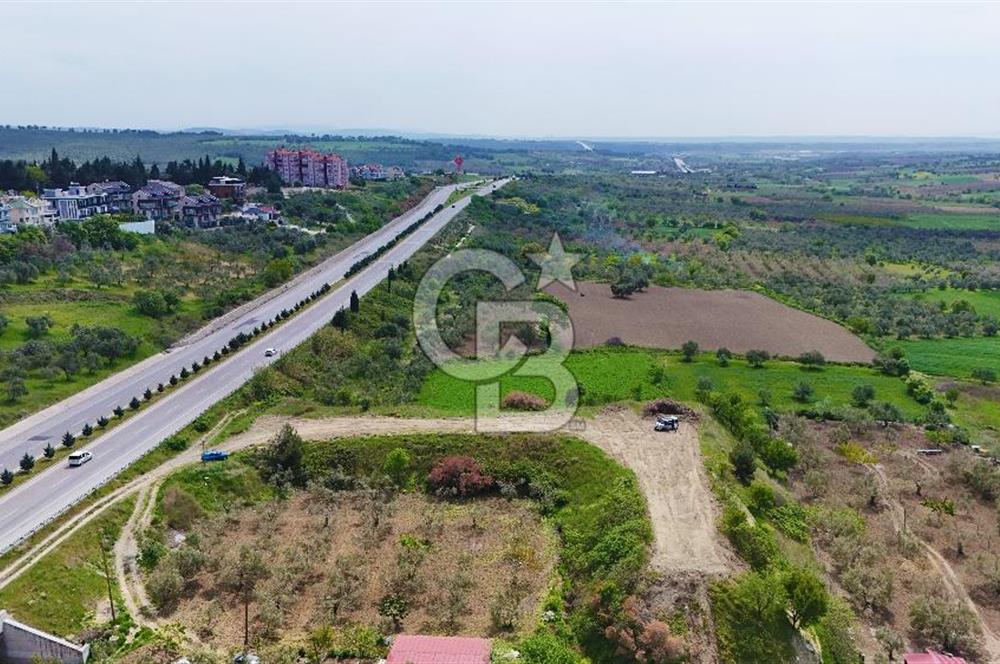 İntepe'de Yola 40m Cepheli, 5.483 m² Satılık Fırsat Tarla!