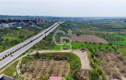 İntepe'de Yola 40m Cepheli, 5.483 m² Satılık Fırsat Tarla!