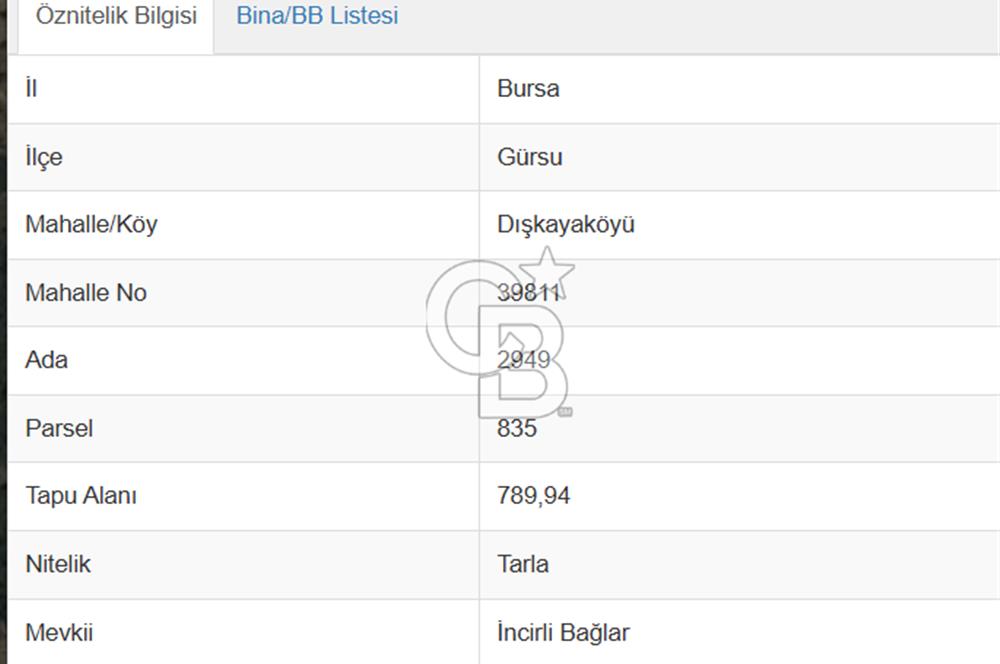CB AMBIANCE'DAN GÜRSU DIŞKAYA KÖYÜ'NDE SATILIK 790 m2 TARLA