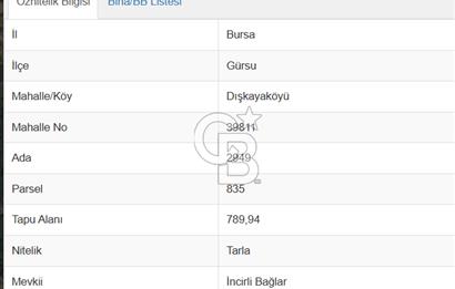 CB AMBIANCE'DAN GÜRSU DIŞKAYA KÖYÜ'NDE SATILIK 790 m2 TARLA