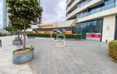 KARTAL MANZARA ADALAR SİTESİ FULL DENİZ MANZARALI 3+1 DAİRE 200 m2