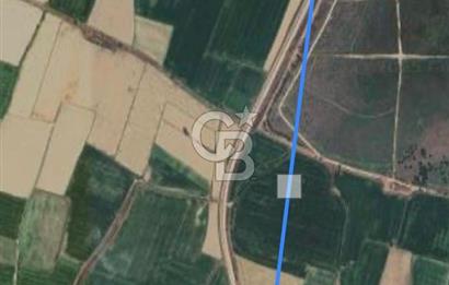 Yatırımcılar Dikkat! Menemende 93 Dönüm Tarla Satılık