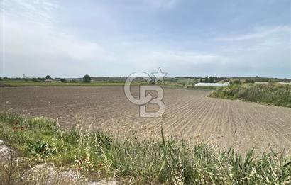 Manisa Soma Anayola Sıfır 13.178 m2 Müstakil Satılık Tarla