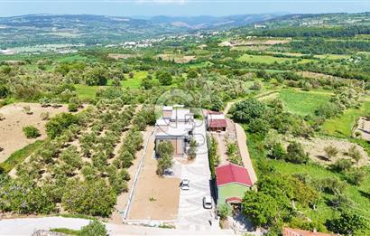 Çanakkale Lapseki Kangırlı'da Satılık 750 m² Bahçeli Villa