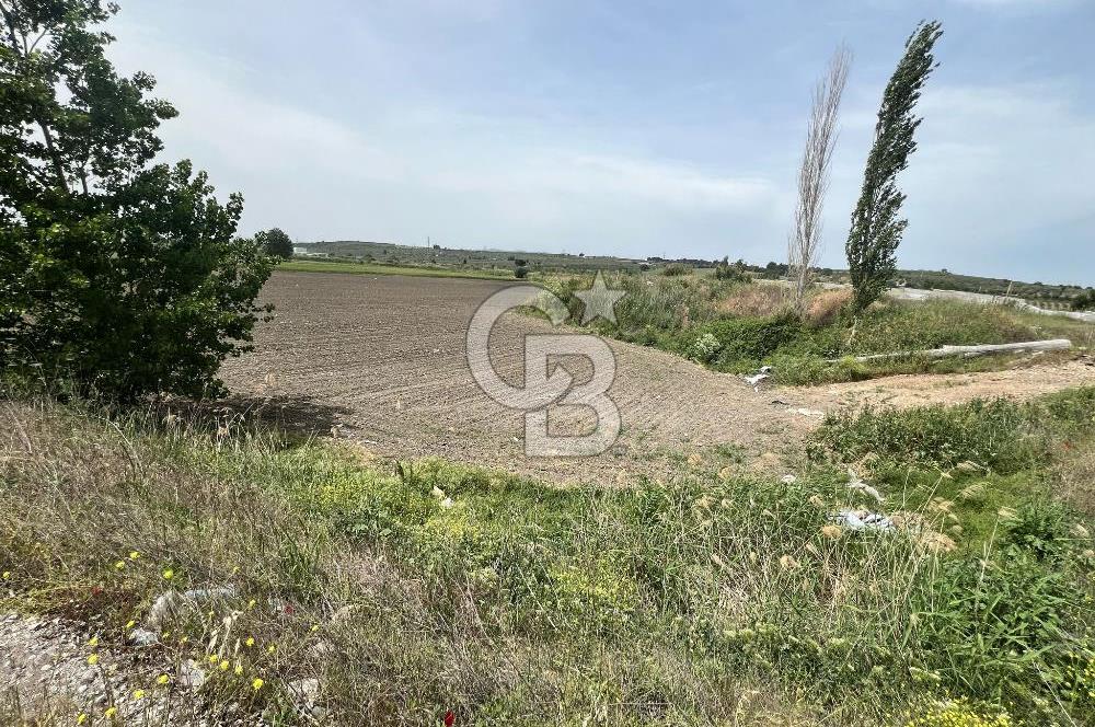 Manisa Soma Anayola Sıfır 13.178 m2 Müstakil Satılık Tarla