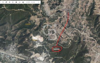 CB AMBIANCE'DAN GÜRSU DIŞKAYA KÖYÜ'NDE SATILIK 790 m2 TARLA