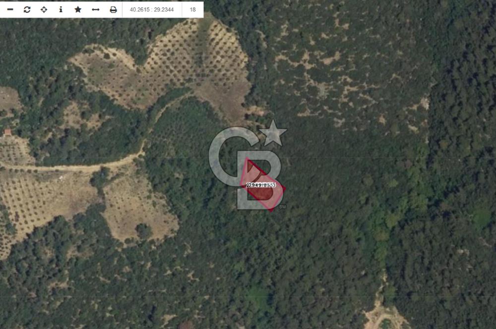 CB AMBIANCE'DAN GÜRSU DIŞKAYA KÖYÜ'NDE SATILIK 790 m2 TARLA