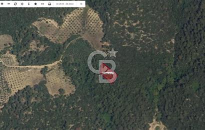 CB AMBIANCE'DAN GÜRSU DIŞKAYA KÖYÜ'NDE SATILIK 790 m2 TARLA