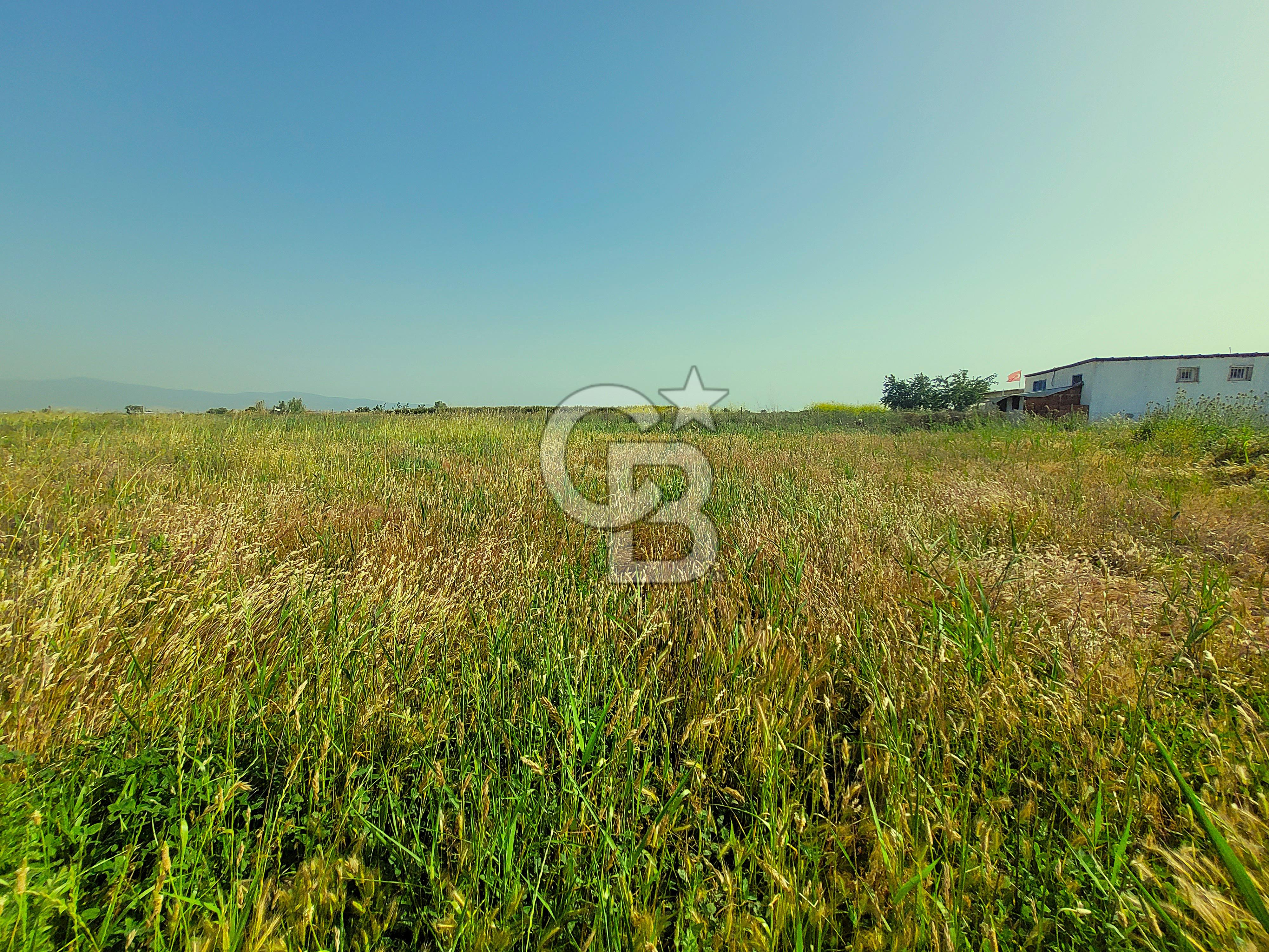 Menemen Türkelli Satılık Tarla