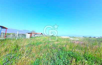 Menemen Türkelli Satılık Tarla