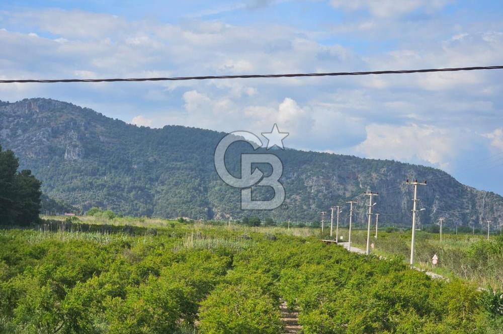Mergenli Aşı Yolu Üzeri Ticari Dükkanlarımız Satılıktır