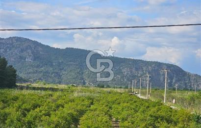 Mergenli Aşı Yolu Üzeri Ticari Dükkanlarımız Satılıktır