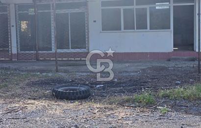 Mergenli Aşı Yolu Üzeri Ticari Dükkanlarımız Satılıktır