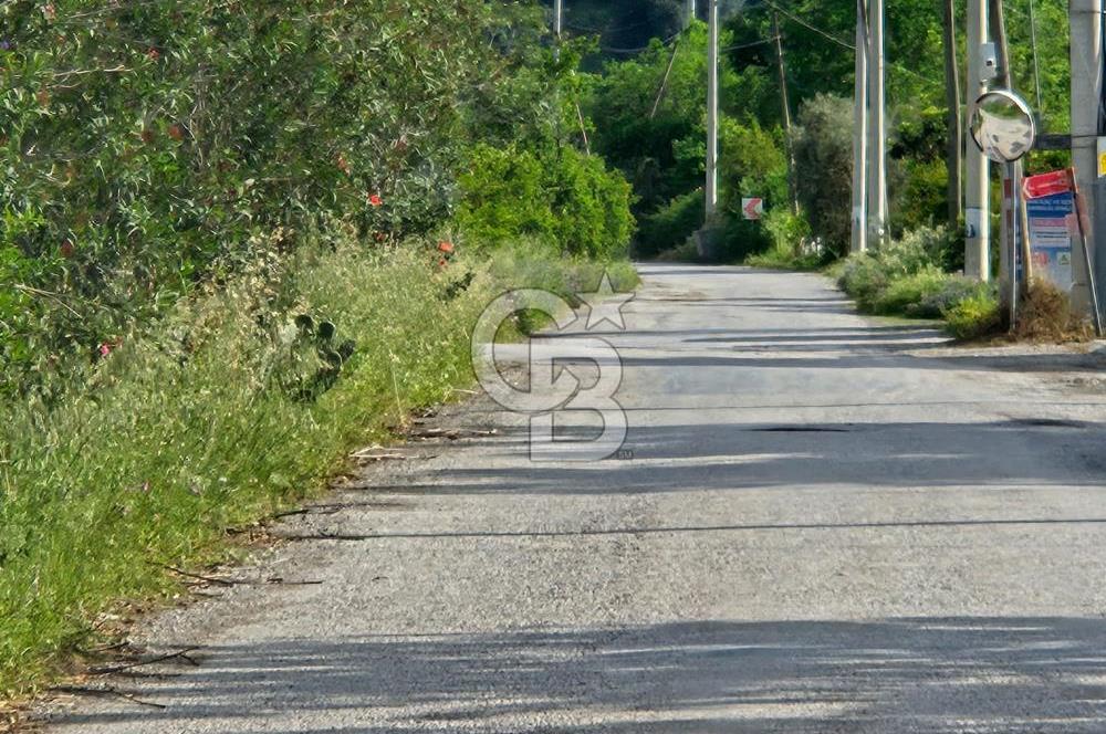 Mergenli Aşı Yolu Üzeri Ticari Dükkanlarımız Satılıktır