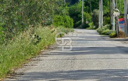 Mergenli Aşı Yolu Üzeri Ticari Dükkanlarımız Satılıktır