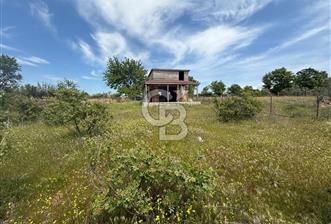 ÇANAKKALE BAYRAMİÇ ÇAVUŞLU KÖYÜNDE FIRSAT TARLA