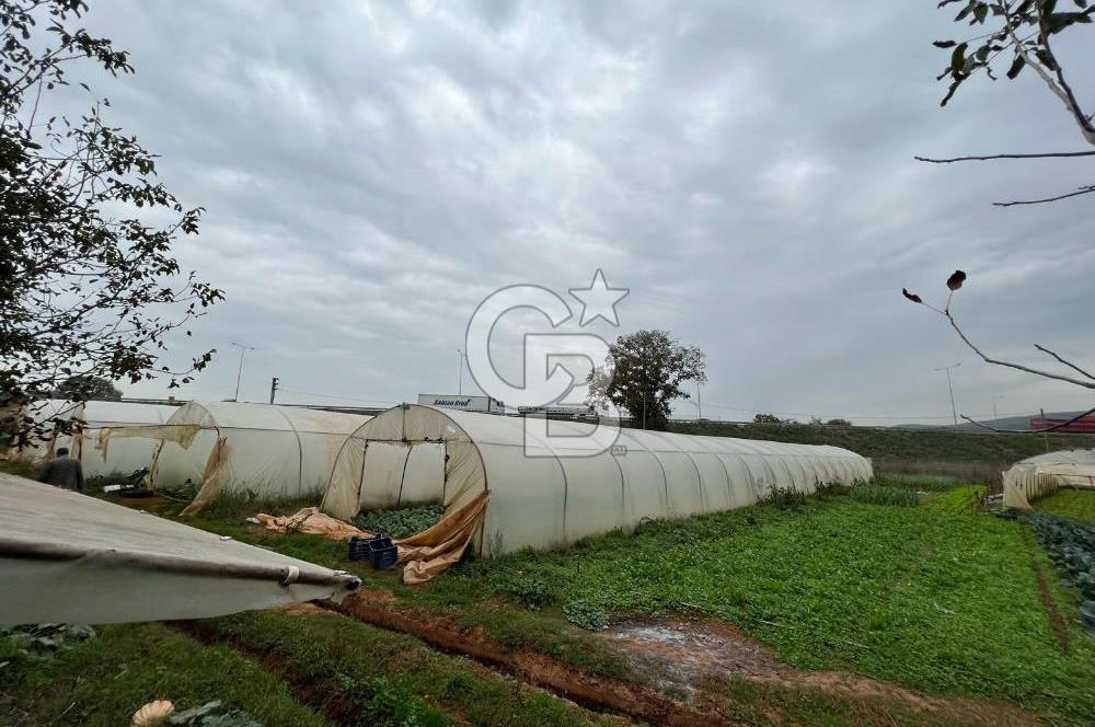 Gebze Cumaköy Satılık 7623 M2 Arazi