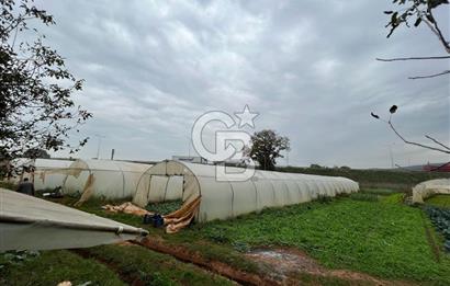 Gebze Cumaköy Satılık 7623 M2 Arazi