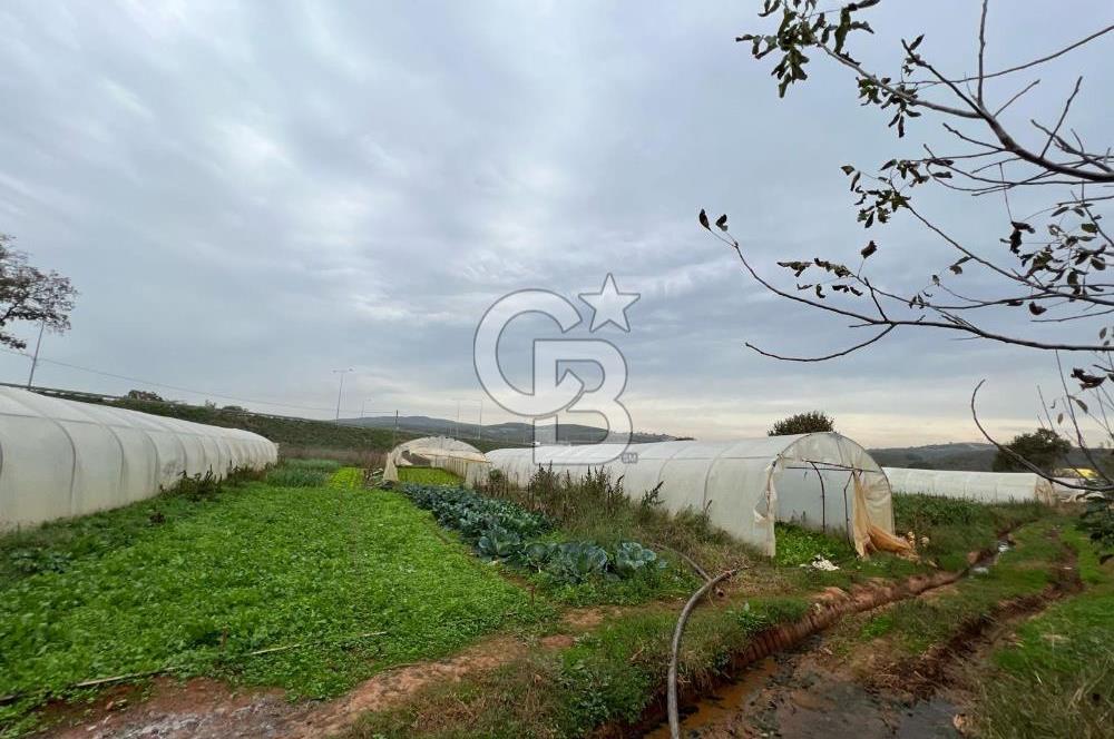 Gebze Cumaköy Satılık 7623 M2 Arazi