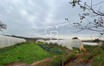 Gebze Cumaköy Satılık 7623 M2 Arazi