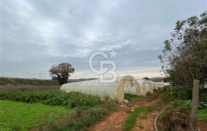 Gebze Cumaköy Satılık 7623 M2 Arazi