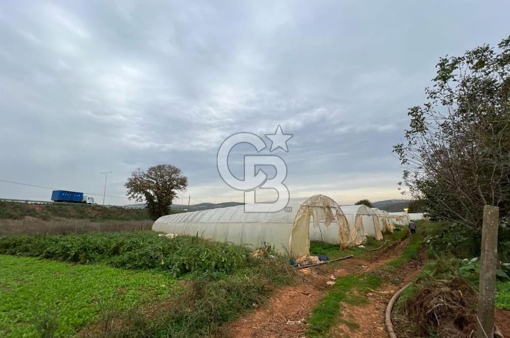 Gebze Cumaköy Satılık 7623 M2 Arazi