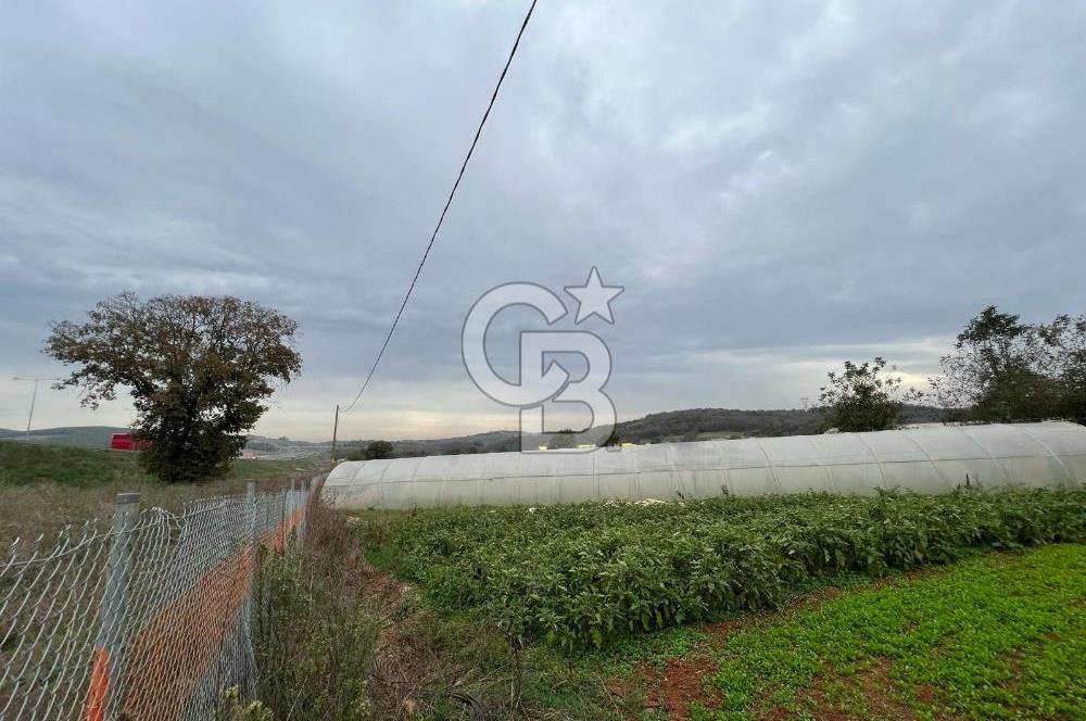 Gebze Cumaköy Satılık 7623 M2 Arazi