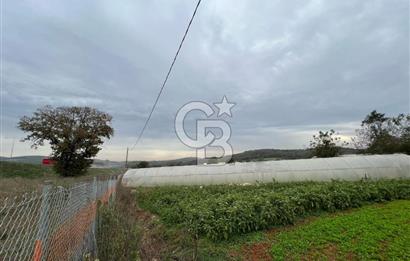 Gebze Cumaköy Satılık 7623 M2 Arazi