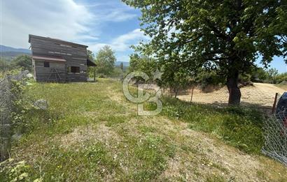 ÇANAKKALE BAYRAMİÇ ÇAVUŞLU KÖYÜNDE FIRSAT TARLA