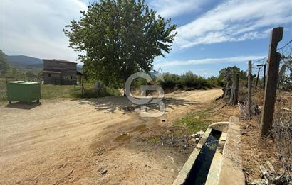 ÇANAKKALE BAYRAMİÇ ÇAVUŞLU KÖYÜNDE FIRSAT TARLA