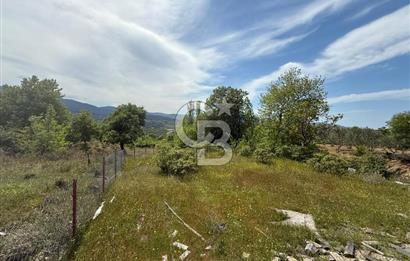ÇANAKKALE BAYRAMİÇ ÇAVUŞLU KÖYÜNDE FIRSAT TARLA