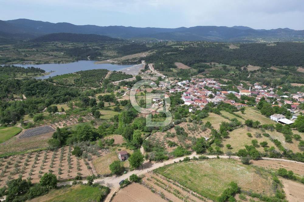 ÇANAKKALE BAYRAMİÇ ÇAVUŞLU KÖYÜNDE FIRSAT TARLA