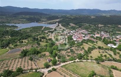 ÇANAKKALE BAYRAMİÇ ÇAVUŞLU KÖYÜNDE FIRSAT TARLA