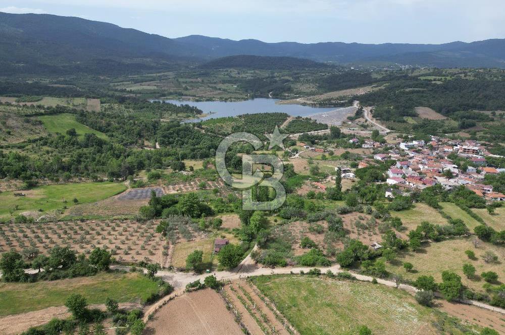 ÇANAKKALE BAYRAMİÇ ÇAVUŞLU KÖYÜNDE FIRSAT TARLA