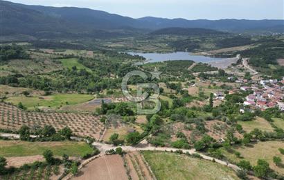 ÇANAKKALE BAYRAMİÇ ÇAVUŞLU KÖYÜNDE FIRSAT TARLA