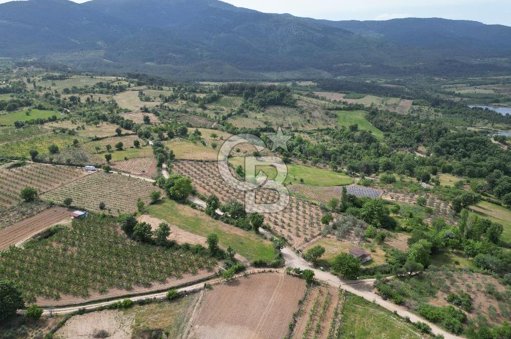 ÇANAKKALE BAYRAMİÇ ÇAVUŞLU KÖYÜNDE FIRSAT TARLA