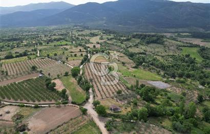 ÇANAKKALE BAYRAMİÇ ÇAVUŞLU KÖYÜNDE FIRSAT TARLA